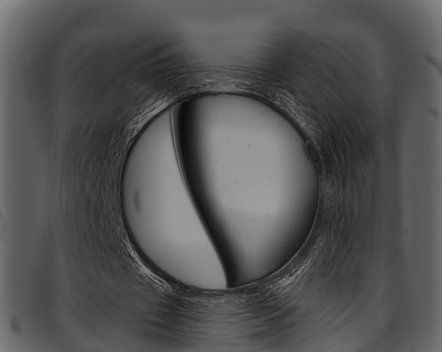 X0000097650433200802290850