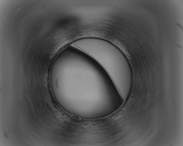 X0000097650434200802290850