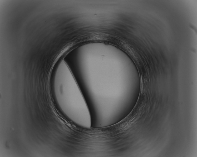 X0000097650435200802290850