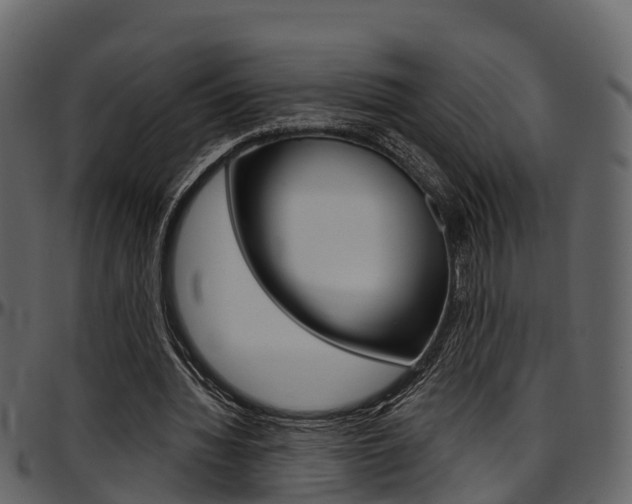 X0000097650436200802290850