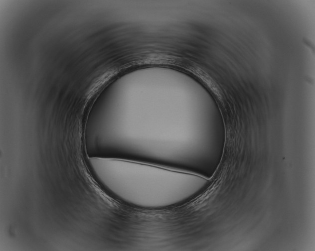X0000097650437200802290850