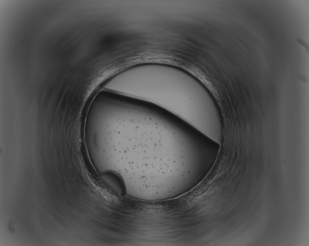 X0000097650438200802290850