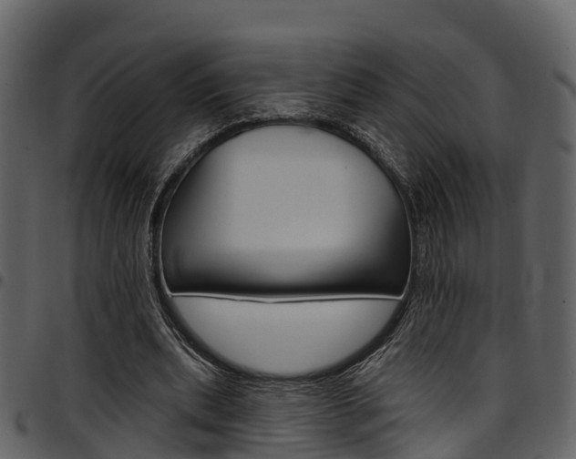 X0000097650439200802290850