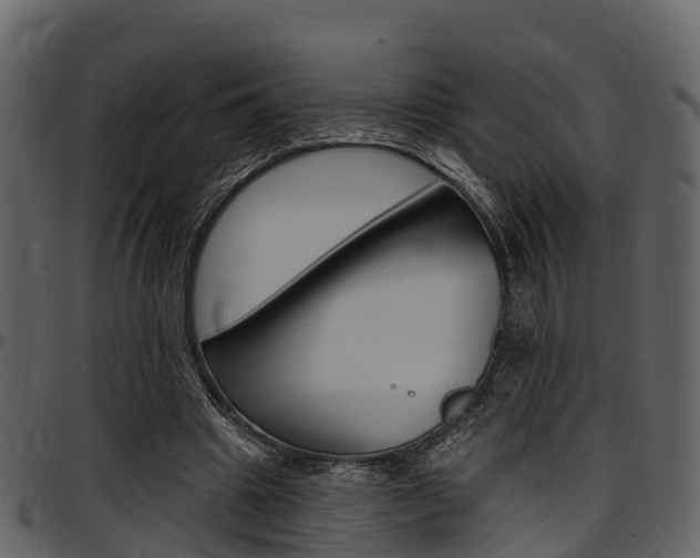 X0000097650441200802290850