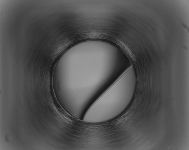 X0000097650442200802290851
