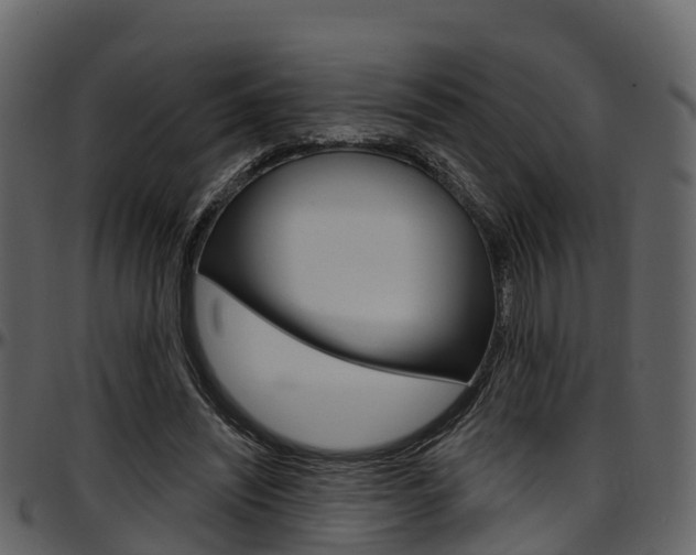 X0000097650444200802290851