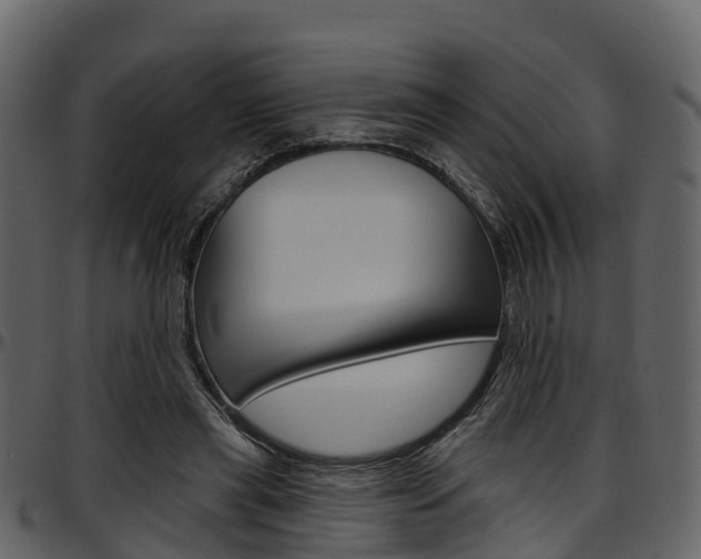 X0000097650445200802290851