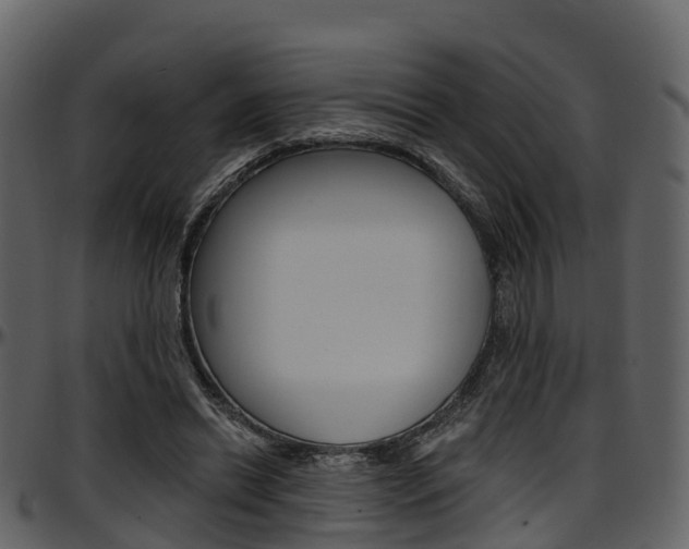 X0000097650446200802290851