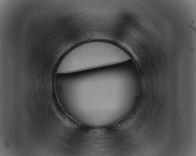 X0000097650447200802290851
