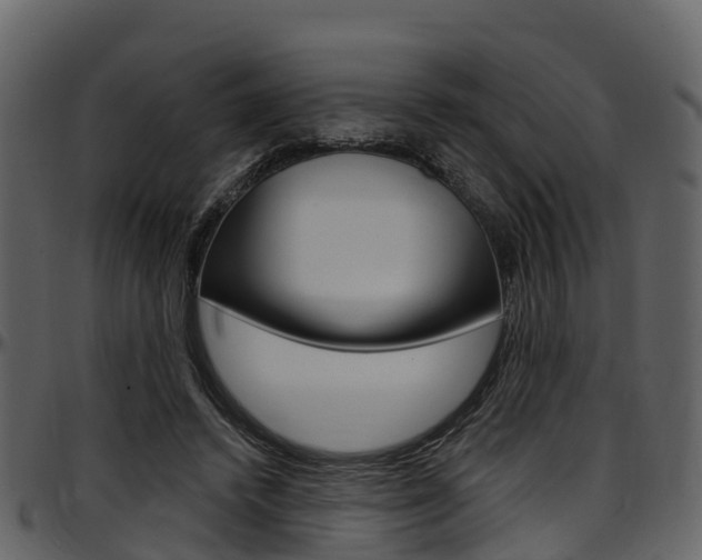 X0000097650448200802290851