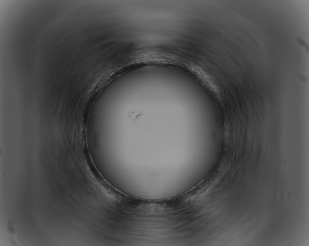X0000097650449200802290851