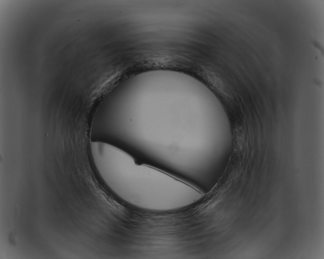 X0000097650450200802290851