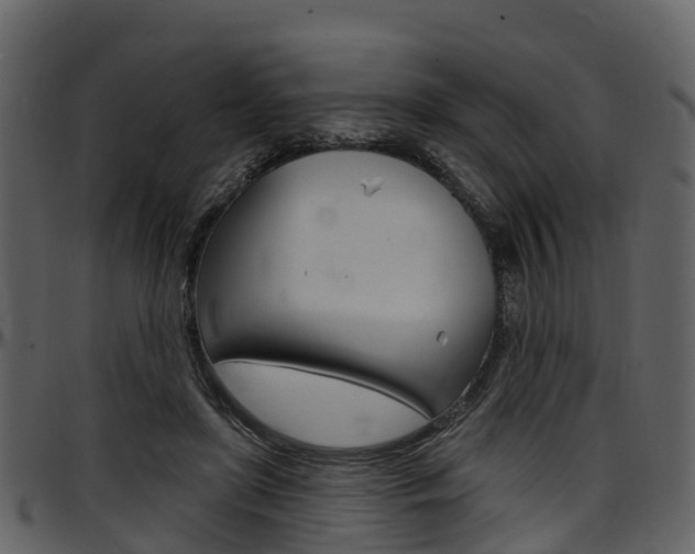 X0000097650451200802290851
