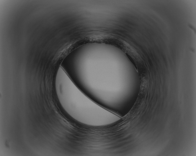 X0000097650452200802290851