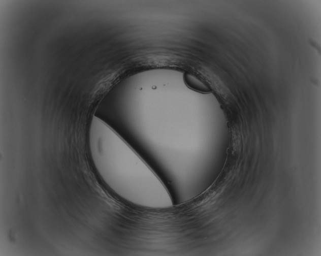 X0000097650453200802290851