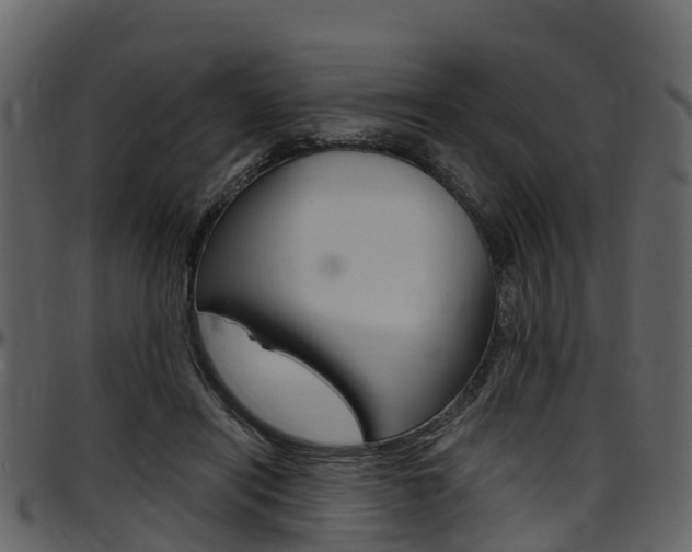 X0000097650454200802290851