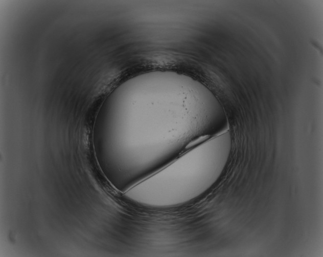 X0000097650456200802290851