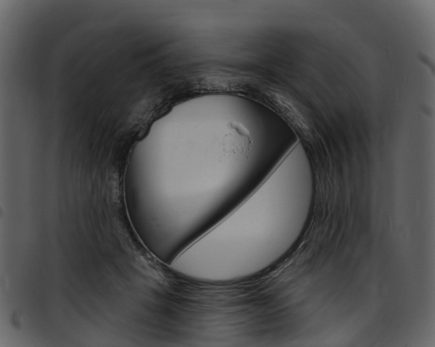 X0000097650457200802290851