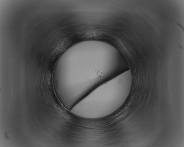 X0000097650458200802290851