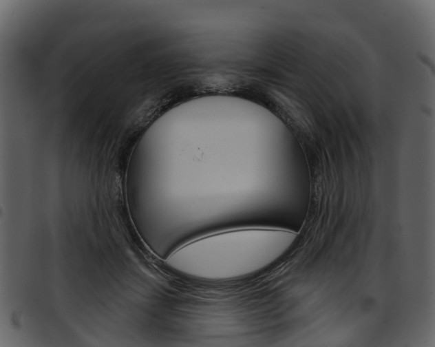 X0000097650459200802290851