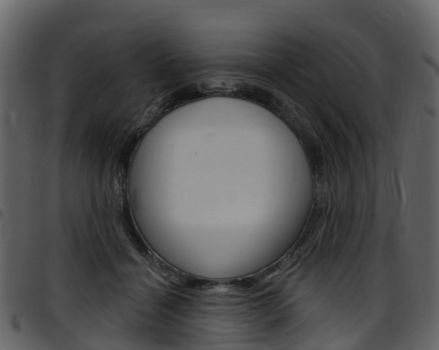 X0000097650460200802290851