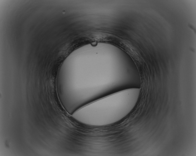 X0000097650461200802290851