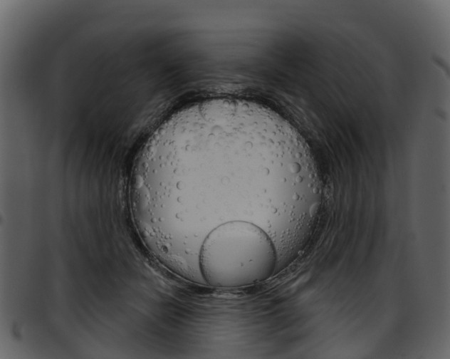 X0000097650462200802290851