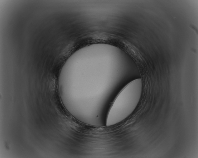 X0000097650463200802290851