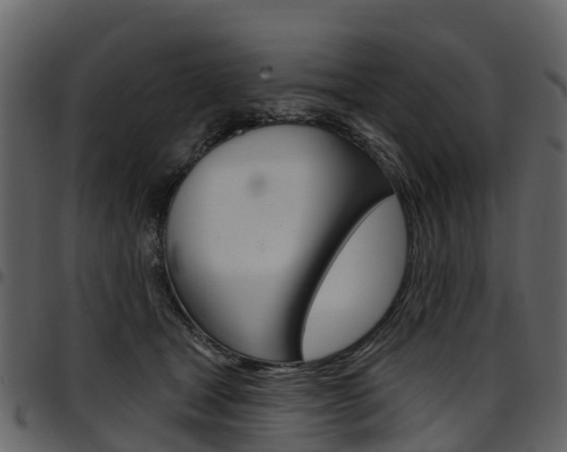 X0000097650465200802290851