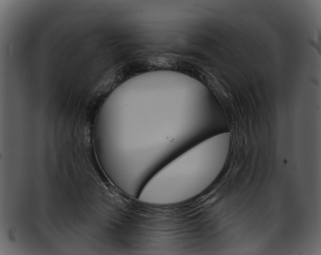 X0000097650466200802290851