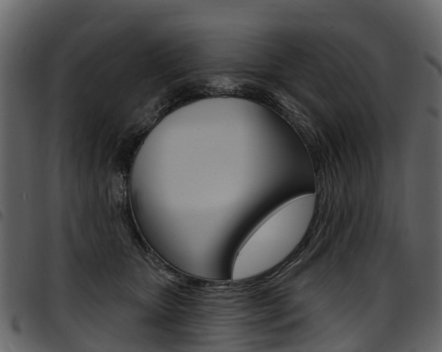 X0000097650467200802290851