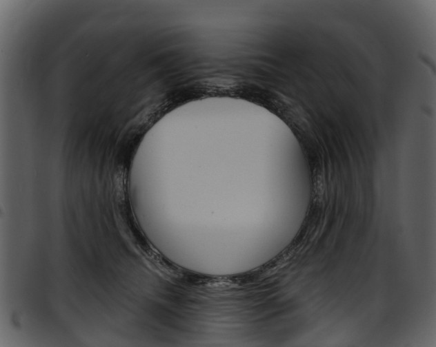 X0000097650468200802290851