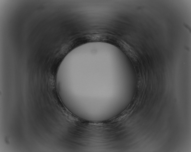 X0000097650469200802290851