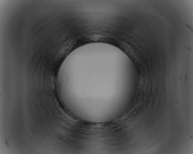 X0000097650470200802290851