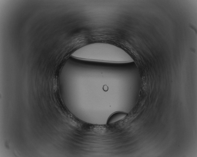 X0000097650471200802290851