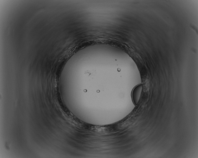 X0000097650472200802290851