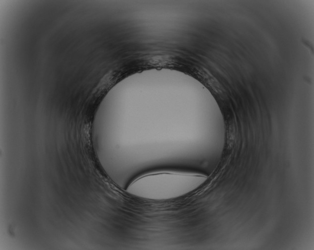 X0000097650473200802290851
