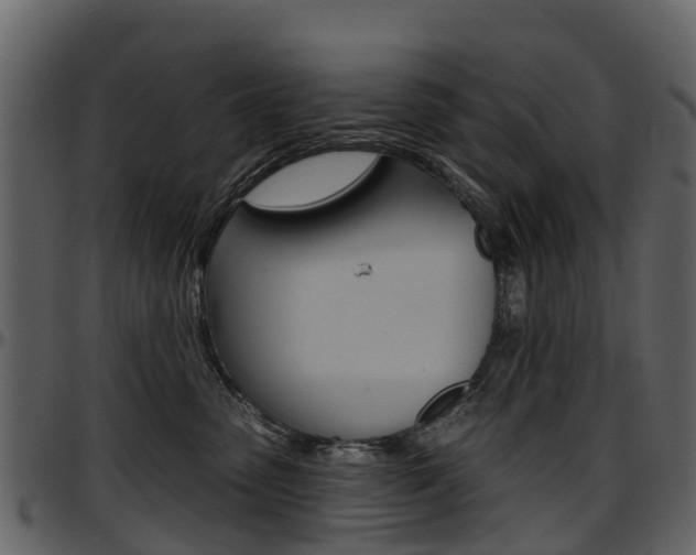 X0000097650475200802290851