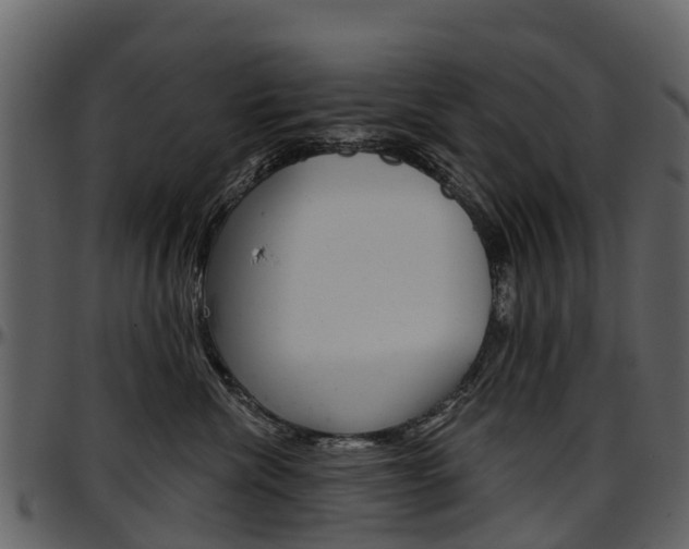 X0000097650476200802290851