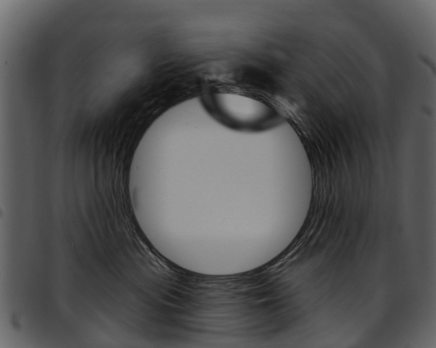 X0000097650477200802290851