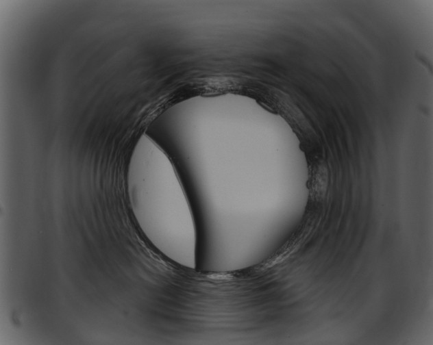 X0000097650478200802290851