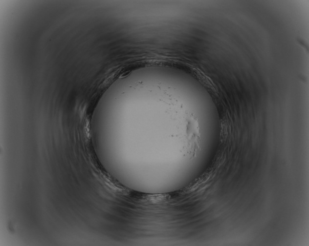 X0000097650479200802290851