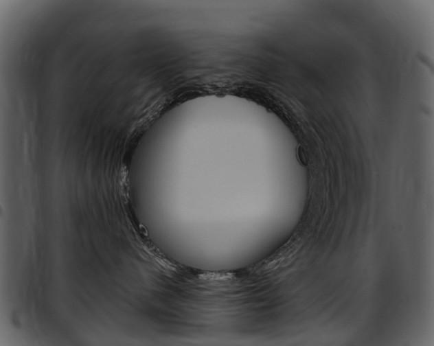 X0000097650480200802290851