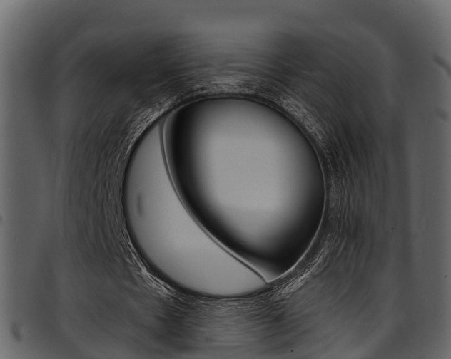 X0000097650481200802290850