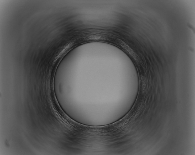 X0000097650482200802290850