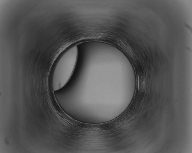 X0000097650483200802290850