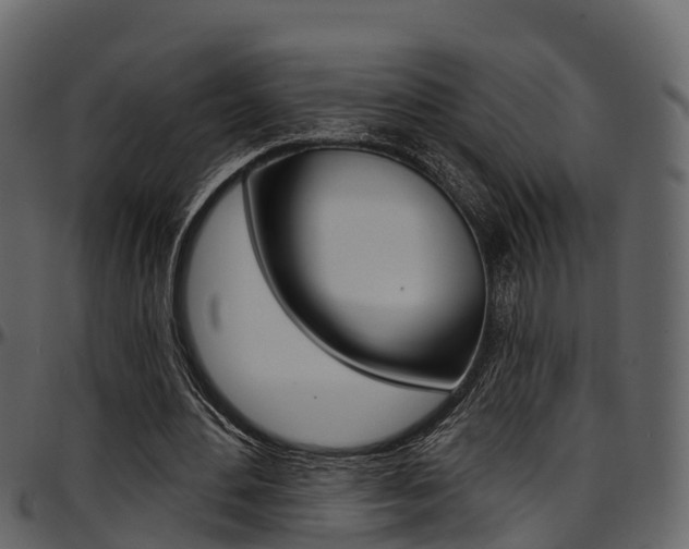 X0000097650484200802290850