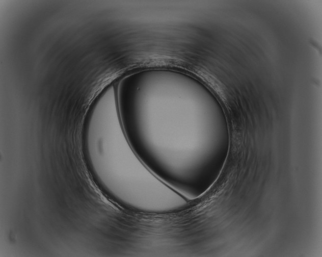 X0000097650485200802290850