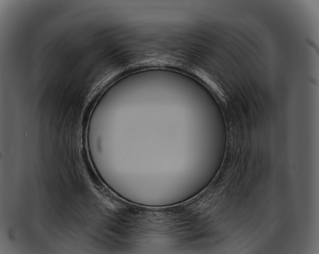 X0000097650486200802290850
