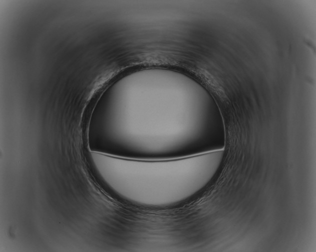 X0000097650488200802290850